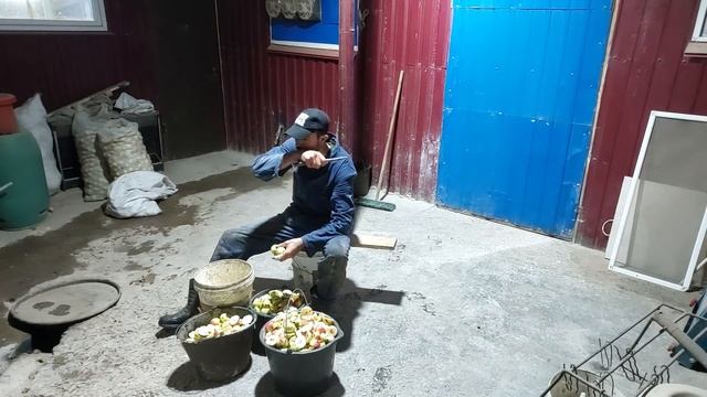 //Все буде??//Вони їдять Пепенку якій 83 роки//Це не яблуня це вже Історія// смотреть онлайн