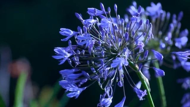мужские кошельки портмоне фото смотреть онлайн