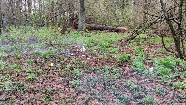 ✅?BIG FIRECRACKERS vs WHITE KETTLE??? смотреть онлайн