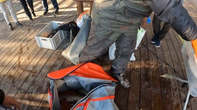 Чемпионат Саратовской области по ловле спиннингом с лодок, нашими глазами. смотреть онлайн