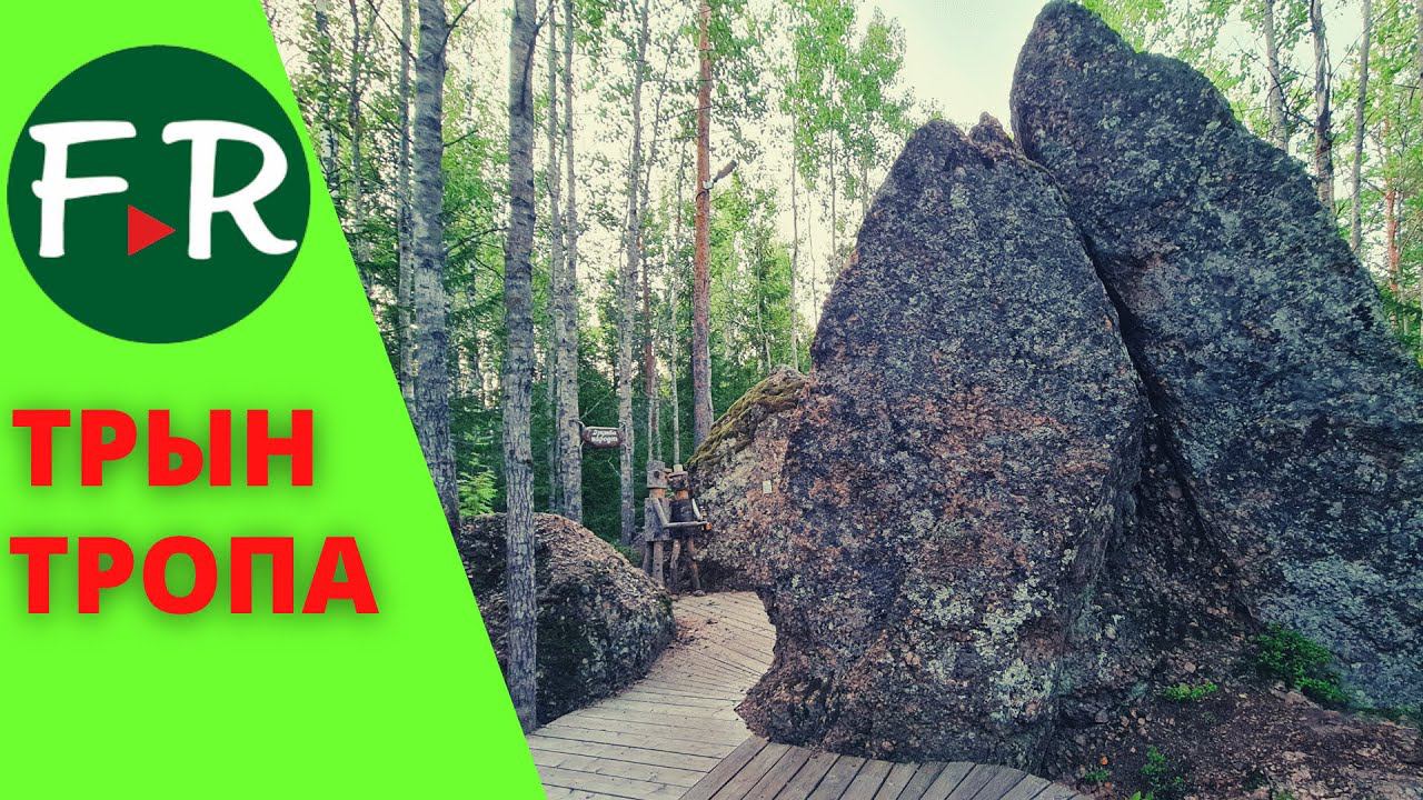 Трын-Тропа на базе Илоранта. Прогулка с юмором. Прекрасные инсталляции и арт-объекты.