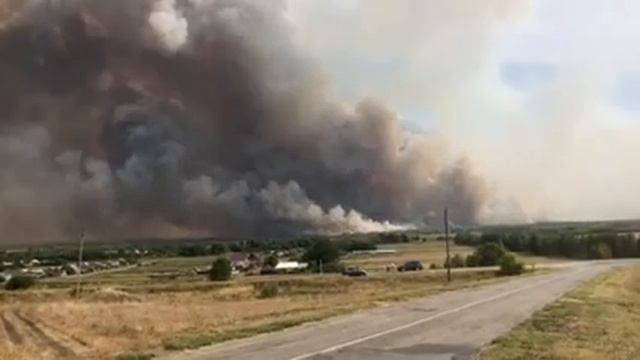 Горит национальный парк "Бузулукский бор" . Вид со стороны Коноваловки смотреть онлайн