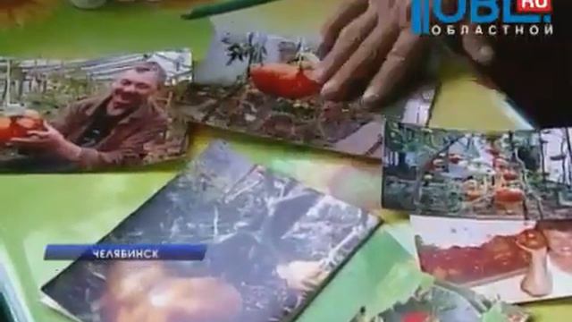 Редкие саженцы растений экзотов на Южном Урале Челябинск смотреть онлайн