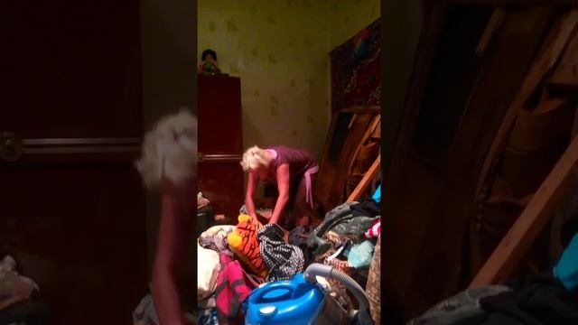 Зайчиха хозяйка смотреть онлайн