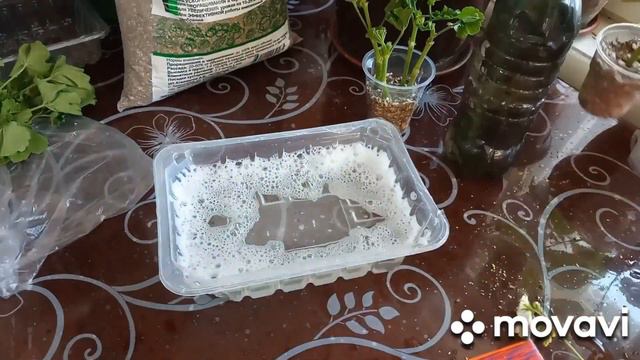 лучший грунт для укоренения! смотреть онлайн