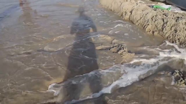 Выживаем 24 часа на Необитаемом Острове смотреть онлайн