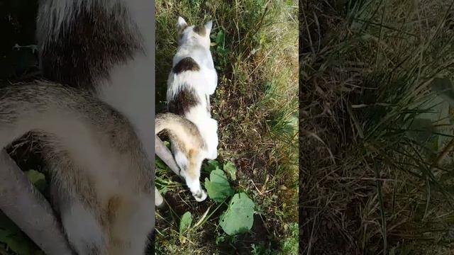 22 августа 2023 г. смотреть онлайн