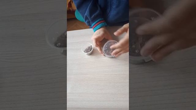 ➤МОИ ПАУКИ! ОБЗОР ЧАСТЬ 1 | ХОДЯТ ПО РУКЕ!!!!! смотреть онлайн