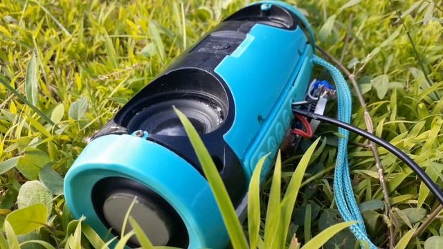 TG-157 Powered by Chinese class D amplifier (3w×2). смотреть онлайн