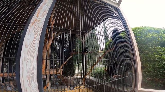 Крым 2021 смотреть онлайн