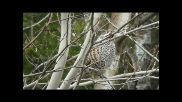 Студенты на учебной практике смотреть онлайн