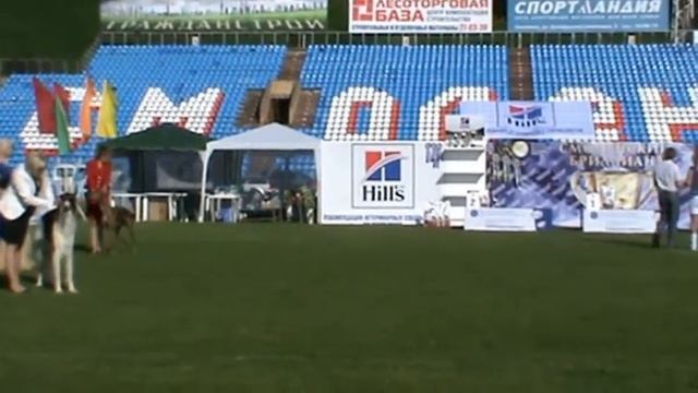 10.06.2012.."Смоленский Бриллиант" САСIB.Х гр. смотреть онлайн