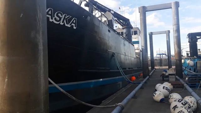 Lady Alaska. Kodiak Alaska. смотреть онлайн