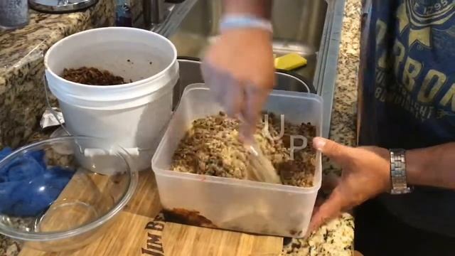 Garlic And Molasses Carp Pack Bait