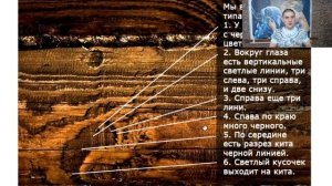 Самое важное в рисовании. Секрет Арона Оноре.