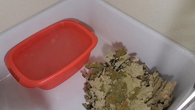 Как Правильно Запарить Веник В Бане??? Дедовский Способ, Или Пакет? ? Проверим? смотреть онлайн