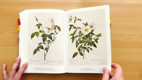 Book flip: The Book of Flowers, Pierre-Joseph Redouté
