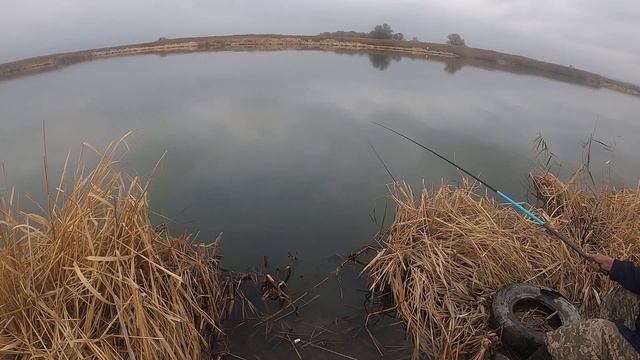 Днестр, клев в ноябре на маховою удочку. смотреть онлайн