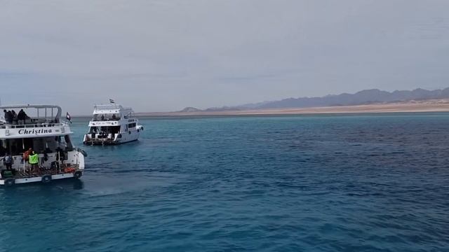 Обед в Красном море смотреть онлайн