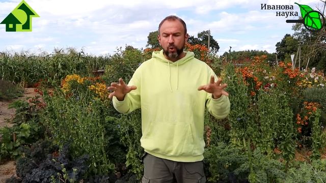 Азбука сидератов. Ч. 7. Царица сидератов - гречиха! Состав лучшей сидеральной смеси для теплиц. смотреть онлайн