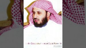 Саад аль гамиди Сура Ясин