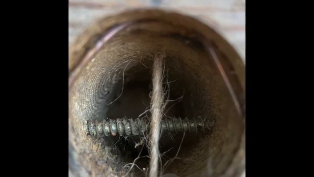 Самая гуманная мышеловка смотреть онлайн