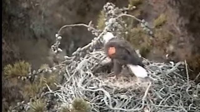 K10 in the Afternoon смотреть онлайн