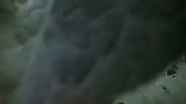 Томат на двух корнях сад и огород выпуск 051 смотреть онлайн