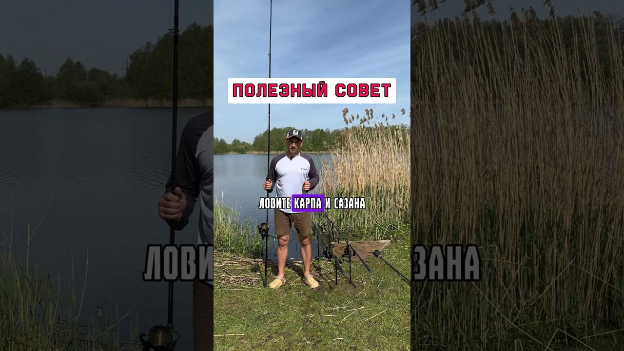 Попробуйте применить при ловле карпа #карпфишинг смотреть онлайн