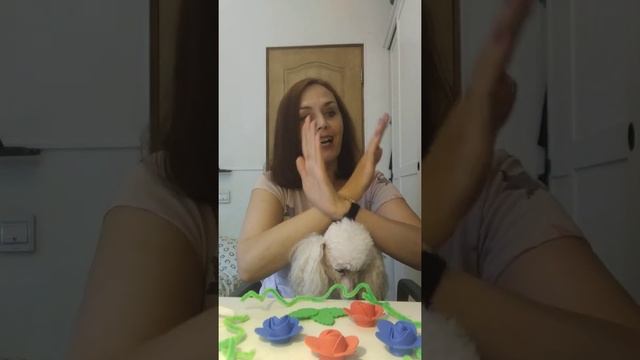 Артикуляционная игра "Пчёлка" смотреть онлайн