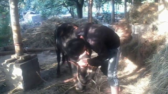 Приколи Точики Таджикский прикол 2016 смотреть онлайн
