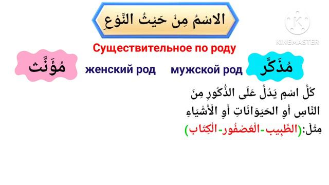 Мужской и Женский род в арабском языке смотреть онлайн