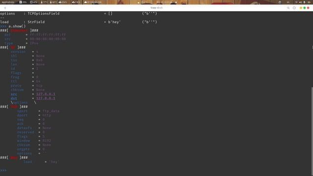 Scapy ls, raw, show, hexdump, wrpcap, rdpcap смотреть онлайн