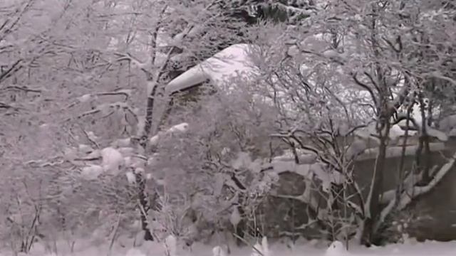 Рождество-Волгина Светлана-Таллин