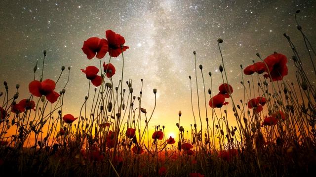 Доверие и Сдача. Как научиться доверять? смотреть онлайн