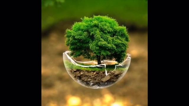 «Что такое конкуренция?» В каких сферах она встречается? смотреть онлайн