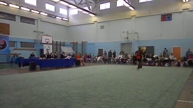 Ивинских шаолиньцюань смотреть онлайн