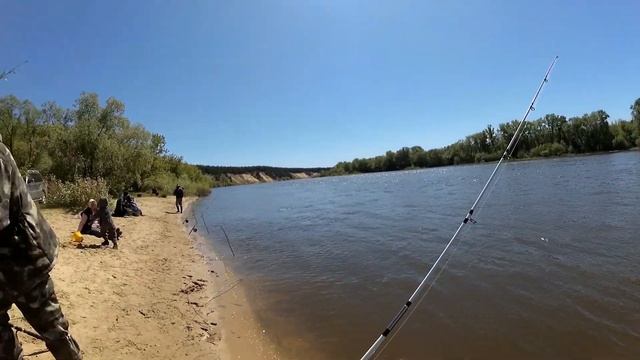 ВОТ ЭТО ДА! Напороли два садка. Рыбалка на дону с семьей. смотреть онлайн