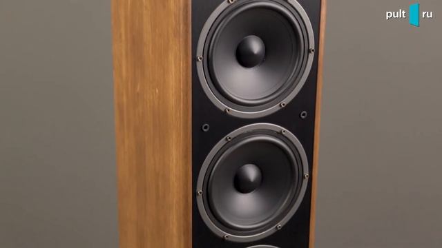 Magnat Monitor S70 — толковые напольники за 55 000 рублей