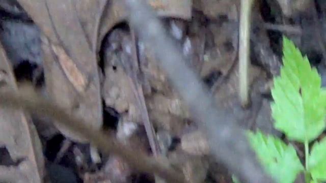 Уборка с осознанностью