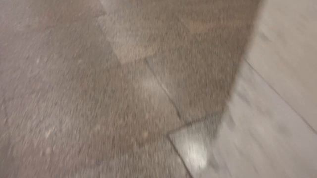 Cтанция метро Ботанический сад смотреть онлайн