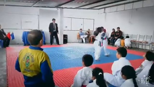 Día de karate(6) смотреть онлайн