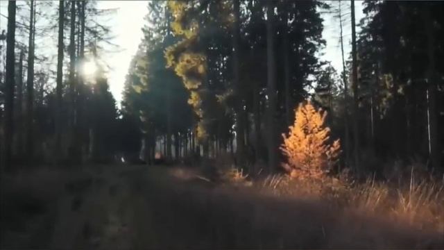 Деда, погоди... смотреть онлайн