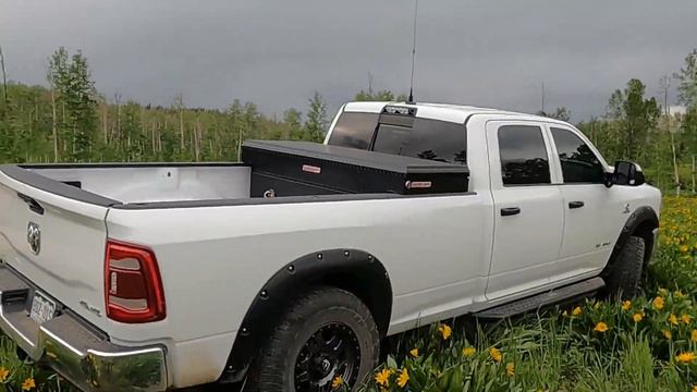 Elevate your Truck's look with Bushwacker Pocket Fender Flares смотреть онлайн