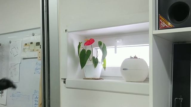 Оконная система Qunell смотреть онлайн