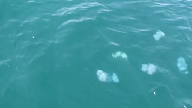 На прогулочном катере Анапа. Черное море смотреть онлайн