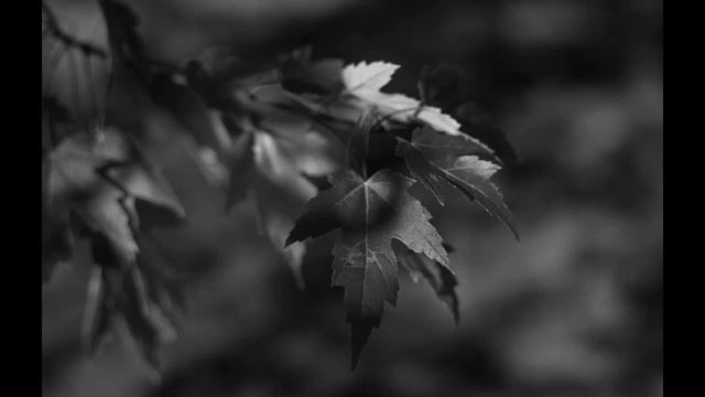 Поэзия под биты Борис Рыжий ...мальчишкой в серой кепочке остаться... смотреть онлайн