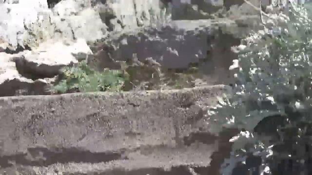 Крым. Обзор пос. Симеиз с горы Дива. смотреть онлайн