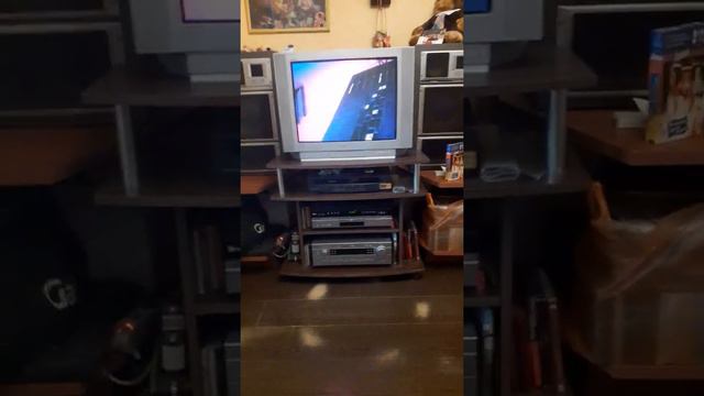 Реклама на VHS "НГО для детей: Собаки и кошки" (1997) от Pyramid Home Video (2001) смотреть онлайн