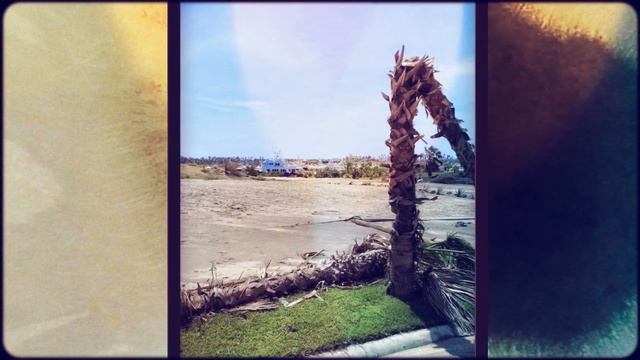 Omega Cabo Trip 2014 HurricaneOdile смотреть онлайн